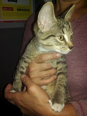 605 X 807  92.6 Kb  '' 