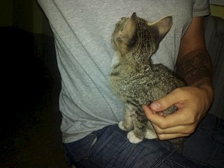 807 X 605  61.2 Kb 605 X 807  92.6 Kb  '' 