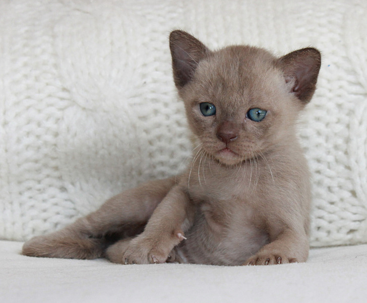 1920 X 1582 449.9 Kb ���������� ��������.