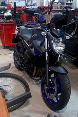 600 X 900 282.1 Kb Продам срочно Yamaha XJ6N