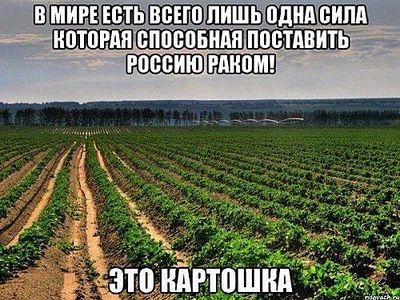500 X 375 64.7 Kb Улыбнемся?