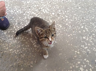 1920 X 1434 742.2 Kb   