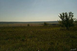 1280 X 853 132.6 Kb 1280 X 853 177.8 Kb Продам земельный участок. СНТ. Можгинский тракт.