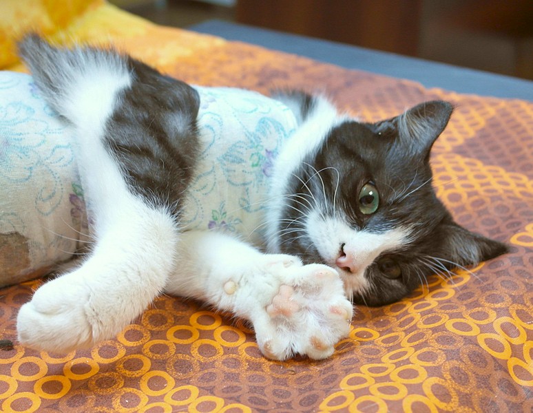 1920 X 1487 492.6 Kb     .