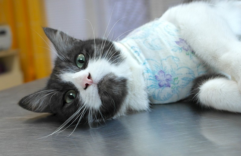 1920 X 1244 304.8 Kb 1920 X 1487 492.6 Kb     .