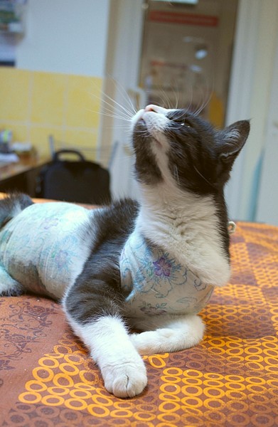 1920 X 2941 878.8 Kb 1920 X 1244 304.8 Kb 1920 X 1487 492.6 Kb     .