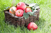 275 X 183 132.0 Kb ����� ��������