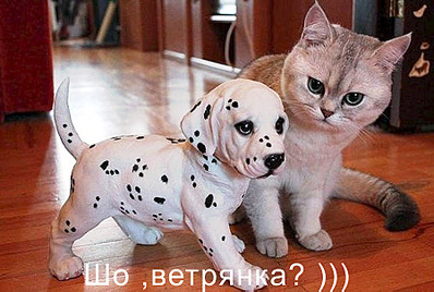 1795 X 1205 320.6 Kb Улыбнемся?