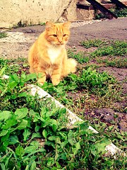 600 X 800 218.5 Kb 600 X 800 182.5 Kb   