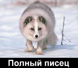 550 X 480 19.9 Kb 'О чем они не говорят вслух' или 'Мысли женатых мужчин'