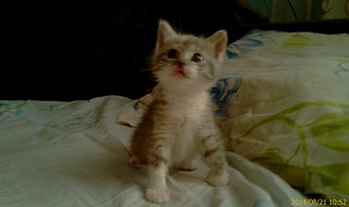 1920 X 1140 271.9 Kb     