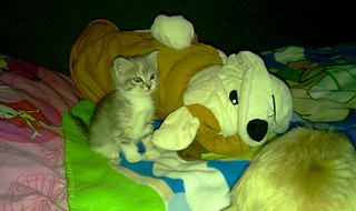 1920 X 1140 420.6 Kb 1920 X 1140 271.9 Kb     