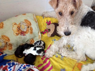 1920 X 1440 692.5 Kb 1920 X 1440 473.2 Kb SOS!     !