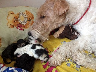 1920 X 1440 711.4 Kb 1920 X 1440 692.5 Kb 1920 X 1440 473.2 Kb SOS!     !