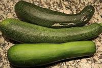 275 X 183   9.6 Kb ����� ��������