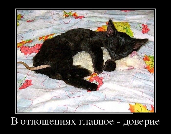 700 x 550 Улыбнемся?