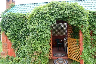 319 x 214 320 x 240 320 x 239 Продам дом в Нечкино! фото