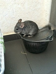 1920 X 2560 730.0 Kb 1920 X 2560 848.3 Kb  