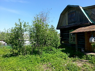 1920 X 1440 516.4 Kb 1920 X 1440 481.0 Kb 1920 X 1440 423.7 Kb С/о на массиве "Южный-3", 8 соток, дом, сруб. Фото. 220 т.р.