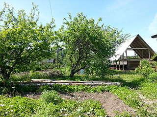 1920 X 1440 620.1 Kb 1920 X 1440 495.7 Kb С/о на массиве "Южный-3", 8 соток, дом, сруб. Фото. 220 т.р.