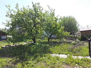 1920 X 1440 570.2 Kb 1920 X 1440 679.2 Kb 1920 X 1440 620.1 Kb 1920 X 1440 495.7 Kb С/о на массиве "Южный-3", 8 соток, дом, сруб. Фото. 220 т.р.