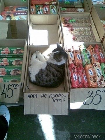 360 x 480 Улыбнемся?
