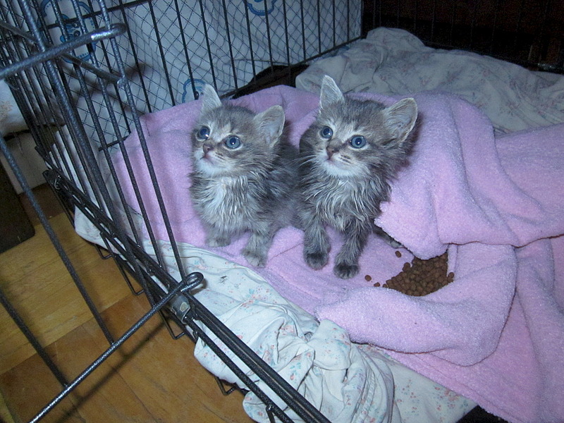 1920 X 1440 769.8 Kb     