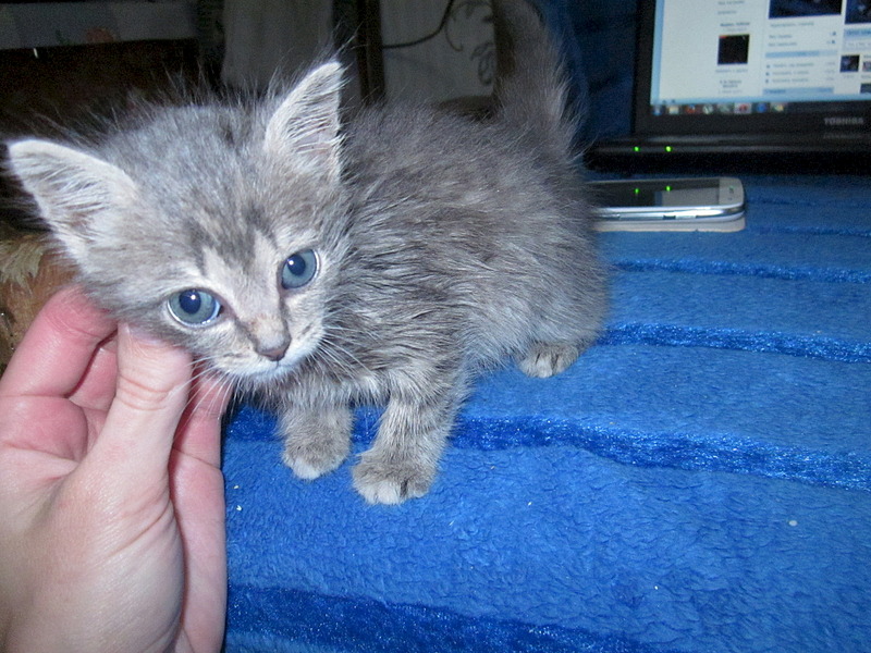 1920 X 1440 748.9 Kb 1920 X 1440 769.8 Kb     