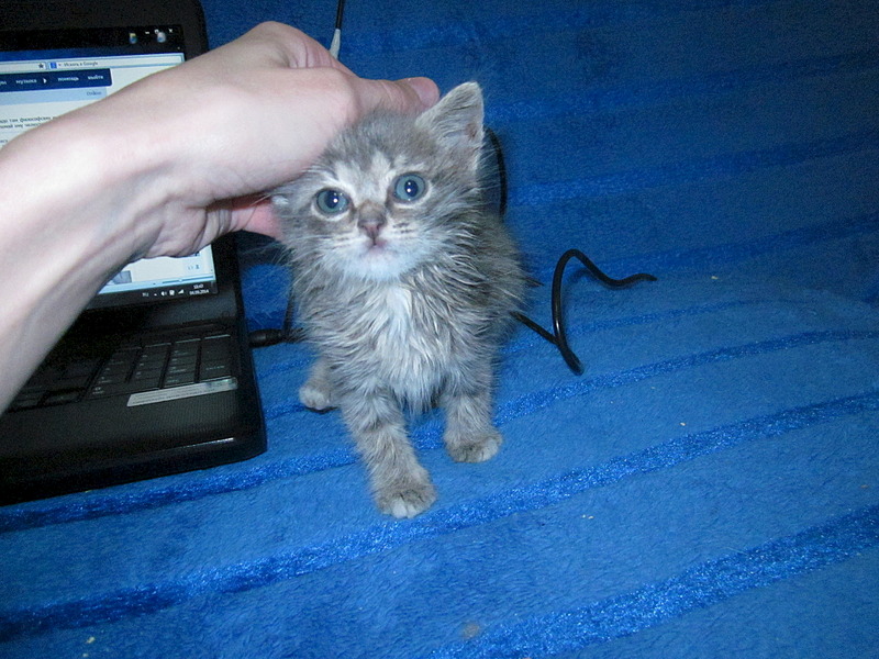 1920 X 1440 783.0 Kb 1920 X 1440 748.9 Kb 1920 X 1440 769.8 Kb     