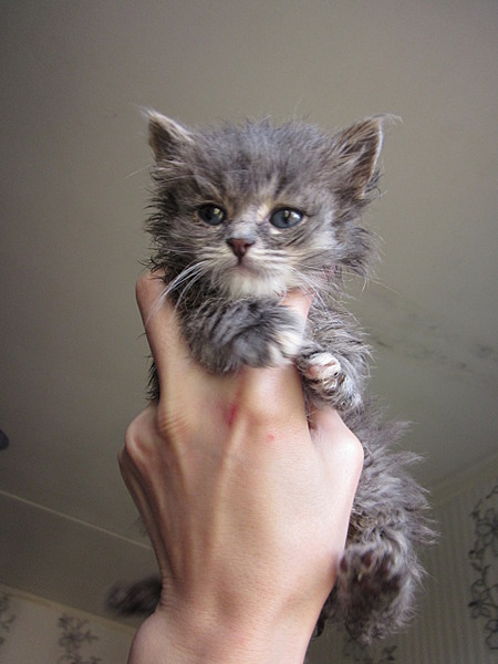 1920 X 2560 961.1 Kb 1920 X 1440 691.3 Kb 1920 X 1440 703.7 Kb     