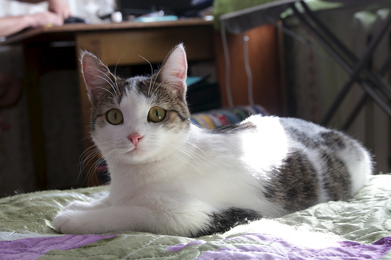 1920 X 1280 359.5 Kb  ,    .