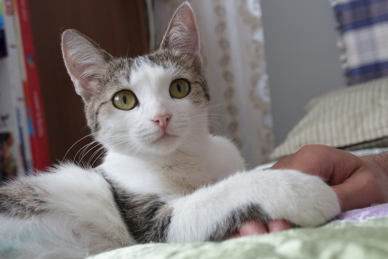 1920 X 1280 365.6 Kb  ,    .