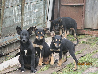 1920 X 1440 865.1 Kb ����� �������� �����