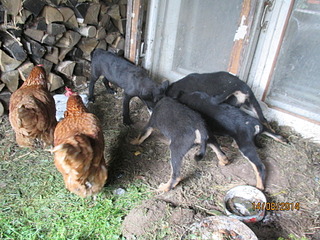 1920 X 1440 794.9 Kb 1920 X 1440 865.1 Kb ����� �������� �����