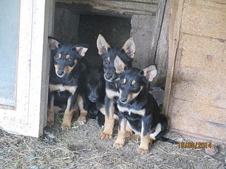 1920 X 1440 823.3 Kb ����� �������� �����