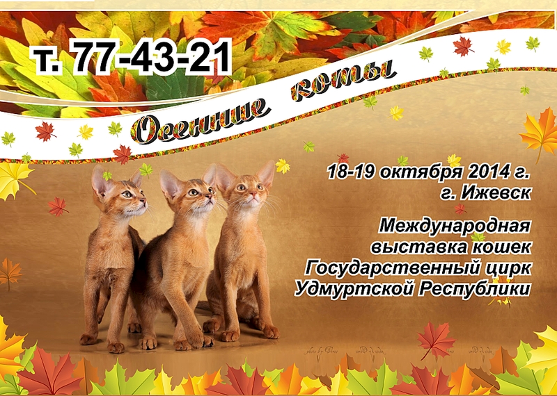 1920 X 1368 267.2 Kb 18-19 октября 2014 г, ВЫСТАВКА КОШЕК. КЛК 'Кошки.RU'