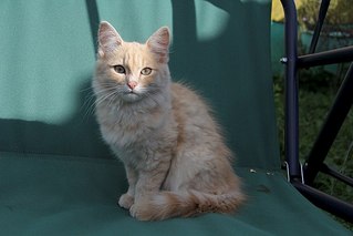 604 X 403 33.5 Kb 604 X 403 36.6 Kb     