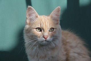 604 X 403 31.5 Kb 604 X 403 39.8 Kb 604 X 403 33.5 Kb 604 X 403 36.6 Kb     