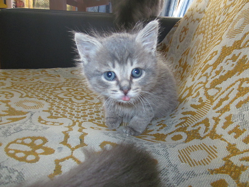 1920 X 1440 692.3 Kb     