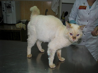 1920 X 1440 403.1 Kb 1920 X 2560 659.0 Kb 1920 X 2560 857.0 Kb    