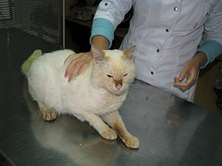 1920 X 1440 445.0 Kb 1920 X 1440 403.1 Kb 1920 X 2560 659.0 Kb 1920 X 2560 857.0 Kb    