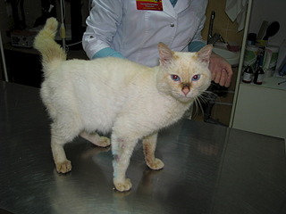 1920 X 1440 407.7 Kb 1920 X 1440 445.0 Kb 1920 X 1440 403.1 Kb 1920 X 2560 659.0 Kb 1920 X 2560 857.0 Kb    