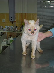 1920 X 2560 667.9 Kb    