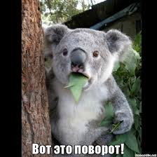 224 x 224 отношение ГИБДД к происходящему.