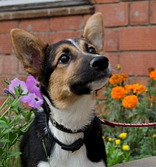 1859 X 2000 506.8 Kb   .    