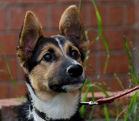 1920 X 1684 426.6 Kb 1859 X 2000 506.8 Kb   .    