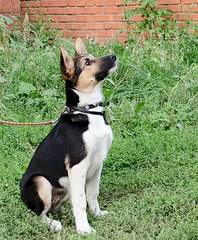 666 X 807 191.0 Kb 1920 X 1684 426.6 Kb 1859 X 2000 506.8 Kb   .    