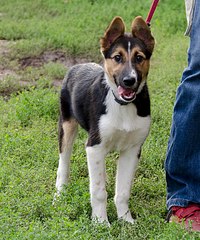 673 X 807 162.2 Kb 666 X 807 191.0 Kb 1920 X 1684 426.6 Kb 1859 X 2000 506.8 Kb   .    