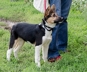 807 X 676 174.8 Kb 673 X 807 162.2 Kb 666 X 807 191.0 Kb 1920 X 1684 426.6 Kb 1859 X 2000 506.8 Kb   .    