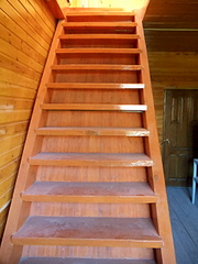 1920 X 2560 314.1 Kb 1920 X 1440 582.9 Kb  